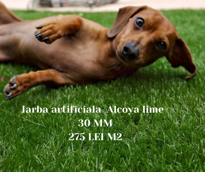 iarba  artificiala Alcoya